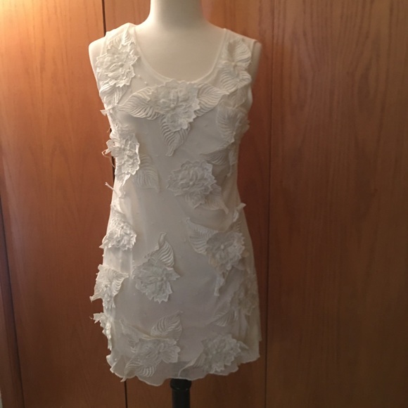 Pretty Angel Dresses & Skirts - Pretty Angel White Dress S, sheer with Embroidery